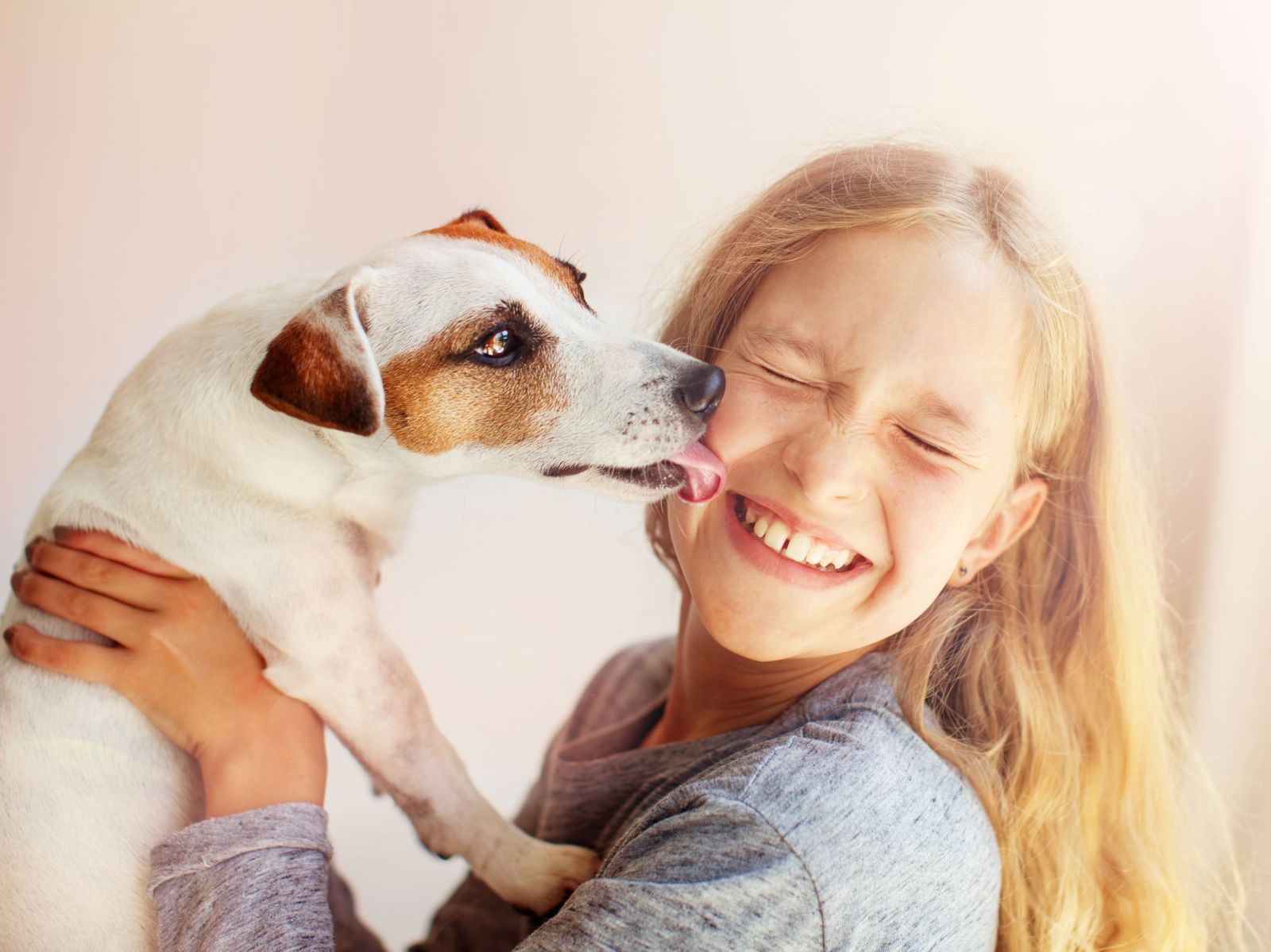 A Jack Russell terrier licking a smiling girl's face